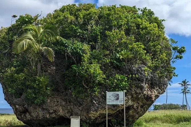 Exclusive Tour of Tongatapu - Swimming in Anahulu Cave