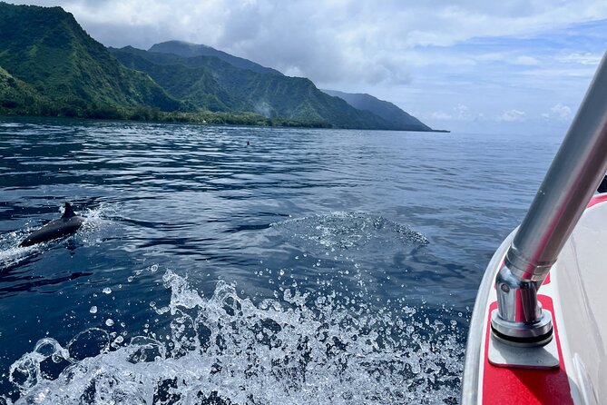Excursion to discover the authentic Tahiti Peninsula 4:00 - Why Tahiti Iti is worth your morning