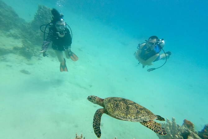 Experience Scuba Diving - No Certification Needed! - Your First Underwater Session at Apra Harbor