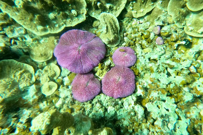 Experience Scuba Diving - No Certification Needed! - What Is Included at the Beach Shop