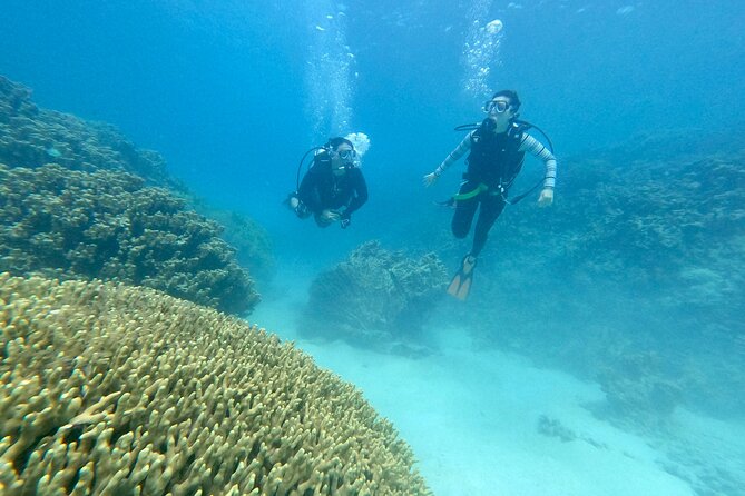 Experience Scuba Diving - No Certification Needed! - Is $90 a Fair Price?