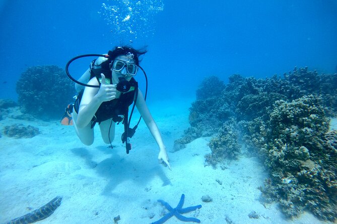 Experience Scuba Diving - No Certification Needed! - How the Instruction Works for a Beginner