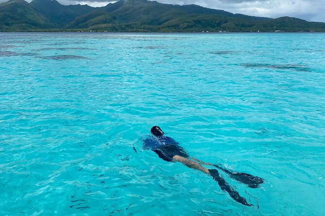 Exploration, Taha'a Lagoon Tour by Private Boat - Jardin de Corail and fruit beside the reef