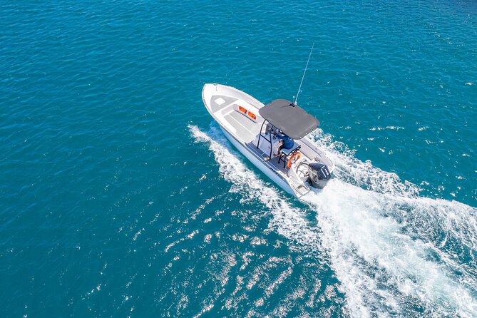 Exploration, Taha'a Lagoon Tour by Private Boat - Snorkeling with reef fish, rays, turtles, and sharks