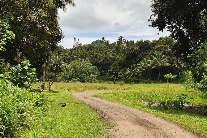 'Explore' Rarotonga Guided Bike Tour with Lunch and Swim - Who will enjoy this tour most
