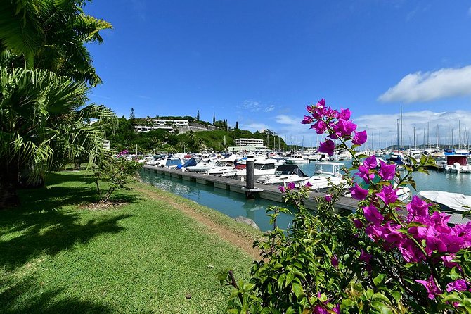 FAMOUS Local Green Train Noumea (01h30) - Why this green train makes sense in Noumea