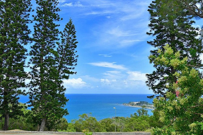 FAMOUS Local Green Train Noumea (01h30) - Ouen Toro Hill and the best views
