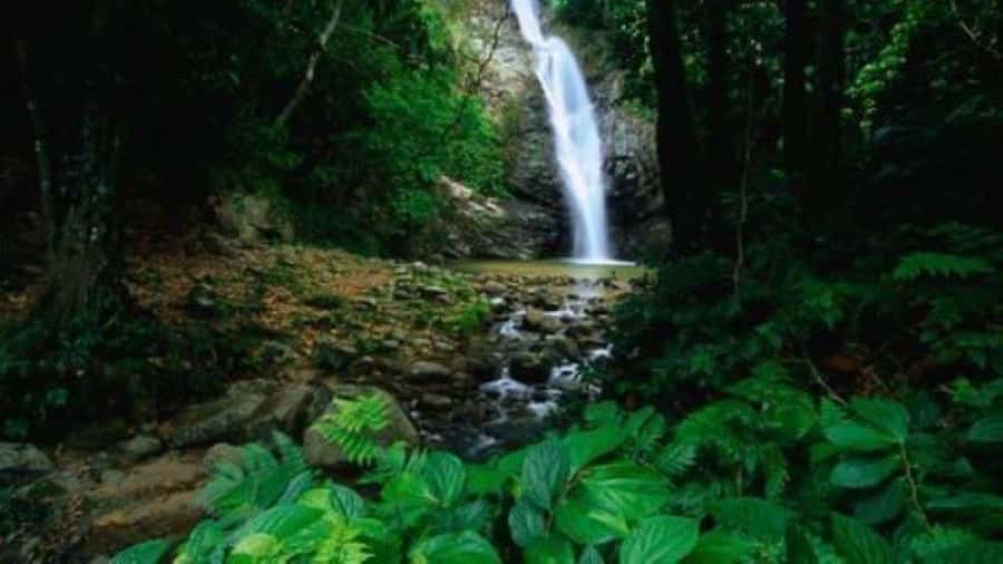 Fiji Biausevu waterfall & Village Tour - Reaching the 20-meter waterfall