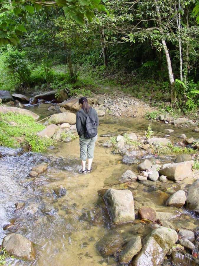 Fiji Biausevu waterfall & Village Tour - Optional horseback riding in Biausevu