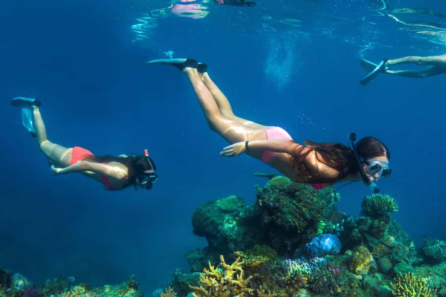Fiji: Captain Cook Cruises - Island & Reef Day Trip - What the $126 price really covers