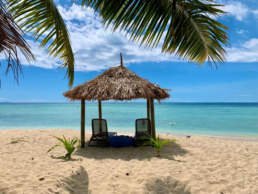 Fiji: Captain Cook Cruises - Island & Reef Day Trip - The beach stop and the island setting