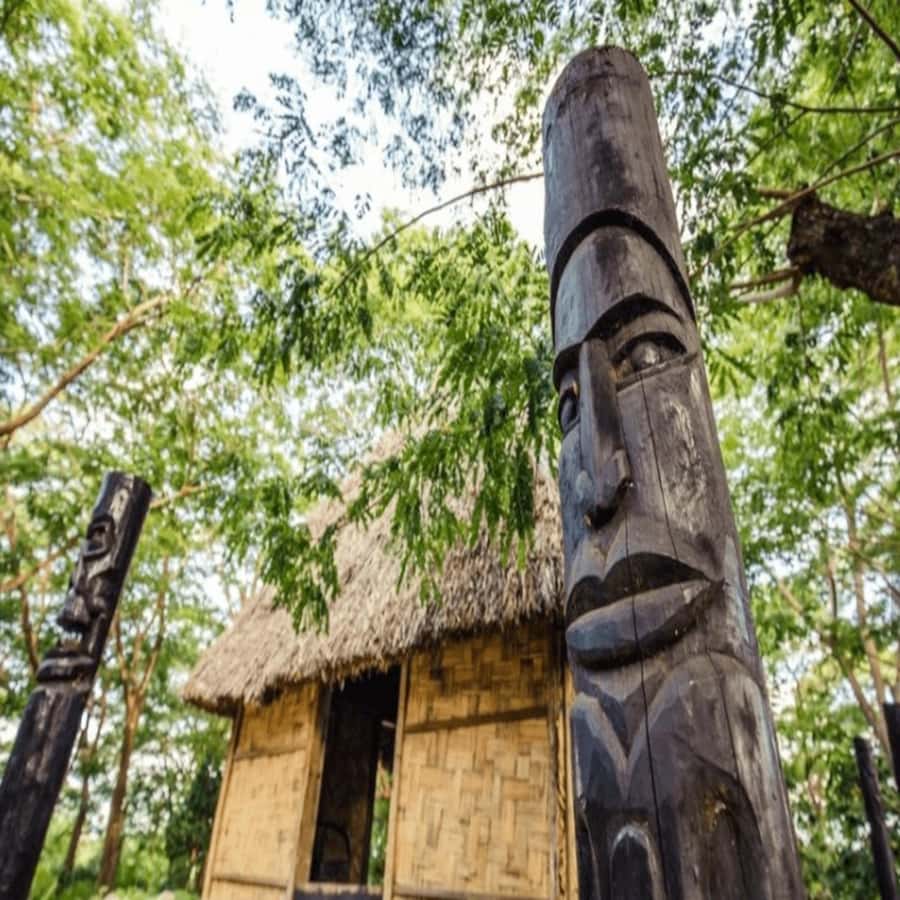 Fiji: Cultural Village Evening Tour with Dinner and Show - Meeting the village through the welcome and walking tour