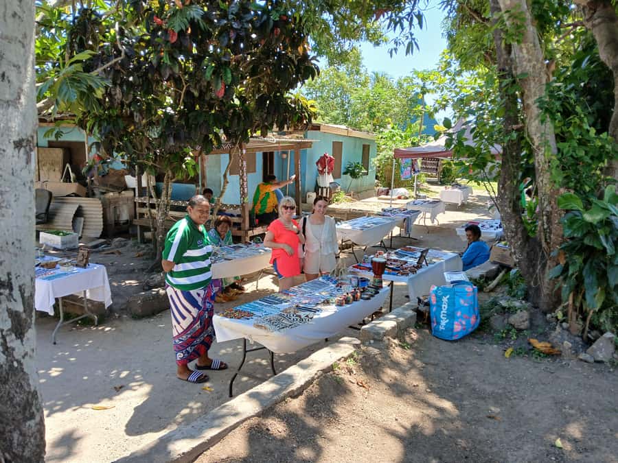 Fiji: Discover Nadi with Sabeto Hotspring and Mudpool Tour - Guides, transfers, and timing