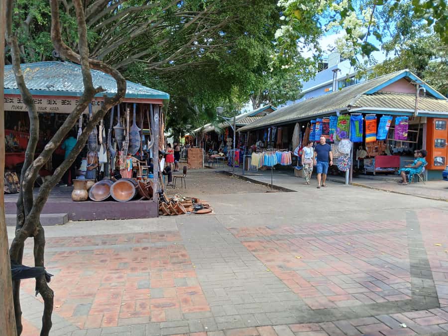 Fiji: Discover Nadi with Sabeto Hotspring and Mudpool Tour - Starting at Sri Siva Subramaniya Temple
