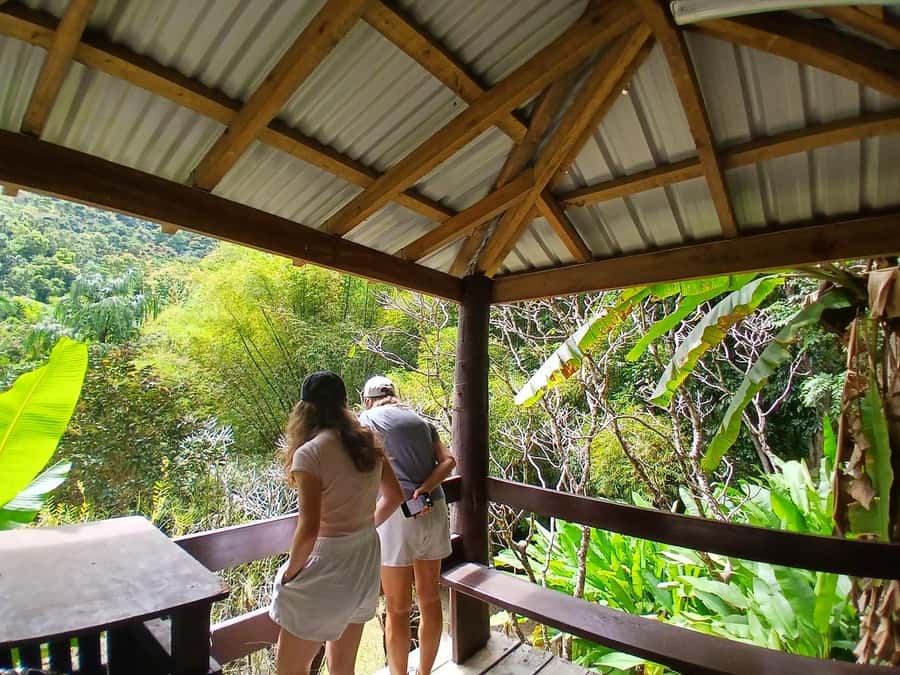 FIJI: Garden of the Sleeping Giant Tour - Key points to know before you go