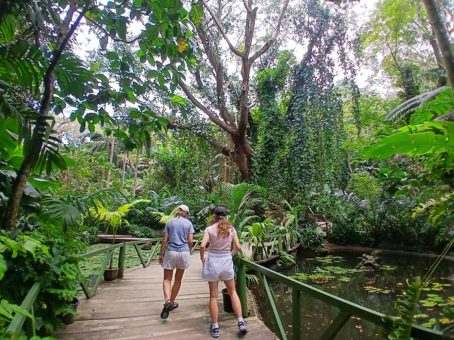FIJI: Garden of the Sleeping Giant Tour - Following the path through orchids and native plants