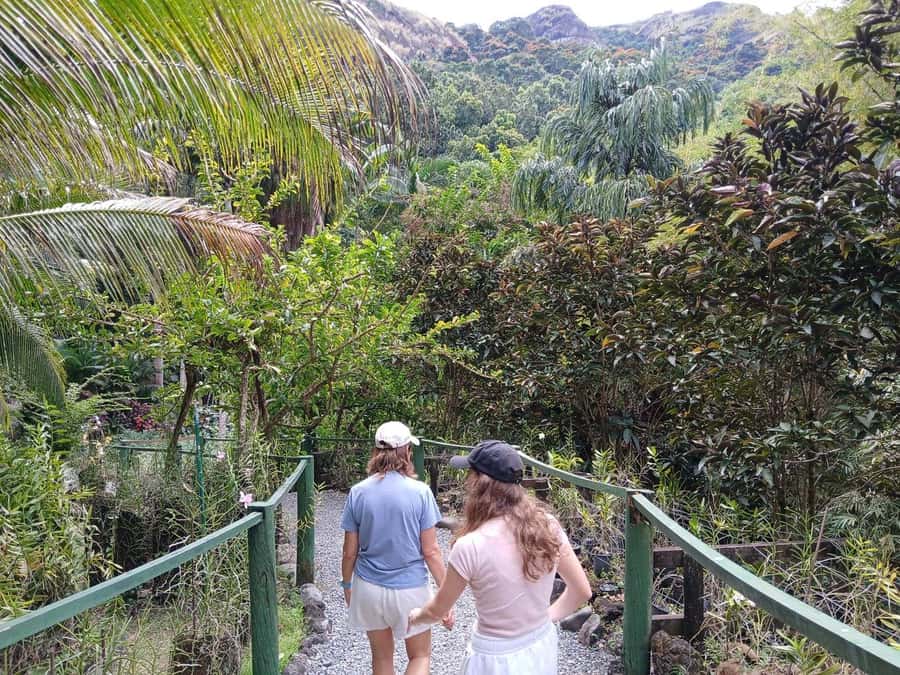 FIJI: Garden of the Sleeping Giant Tour - The lookout and the Sleeping Giant