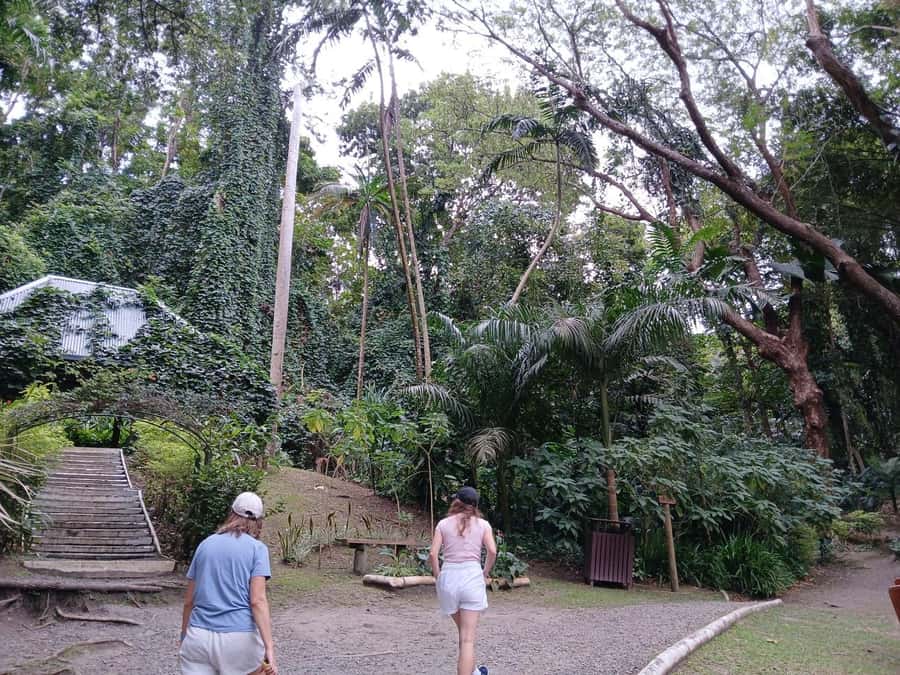 FIJI: Garden of the Sleeping Giant Tour - Why going early makes a difference