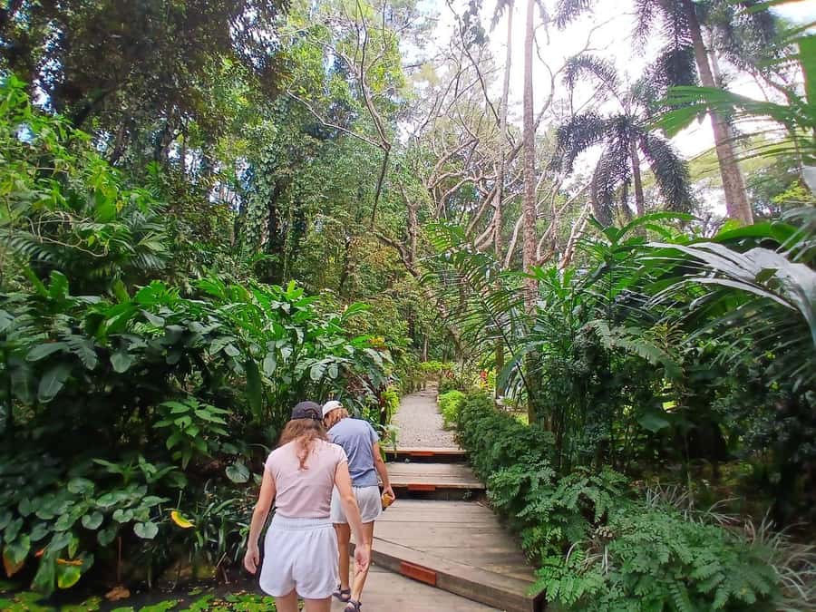FIJI: Garden of the Sleeping Giant Tour - The driver can shape the morning