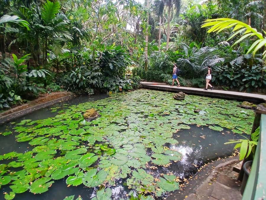 FIJI: Garden of the Sleeping Giant Tour - How much time should you allow?
