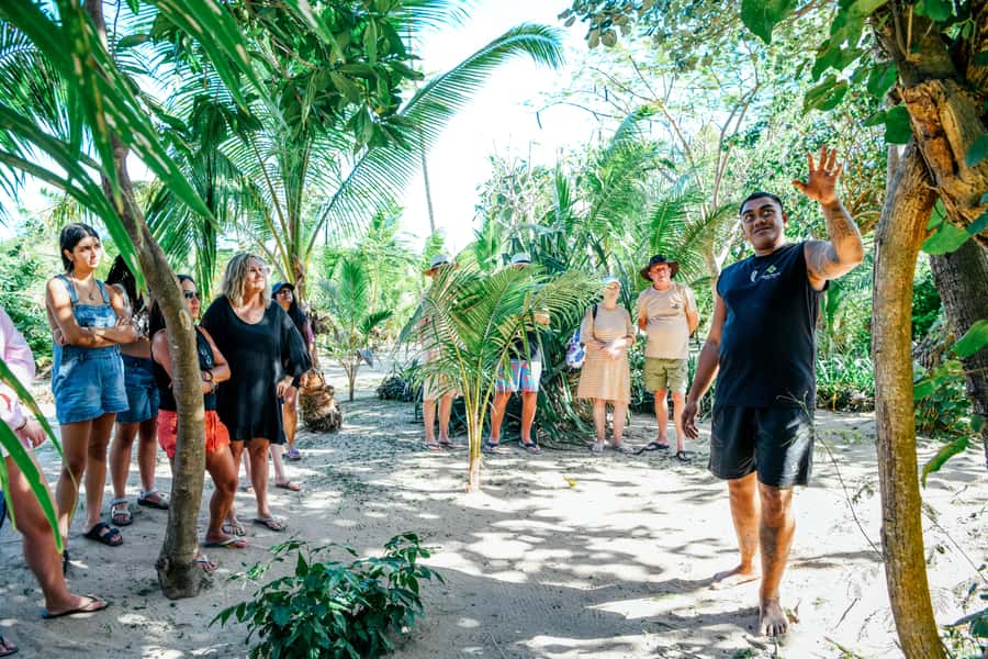 Fiji: Half-Day Island Activities Tour with Jungle Cruise - Snorkeling, kayaking, and the paid add-ons