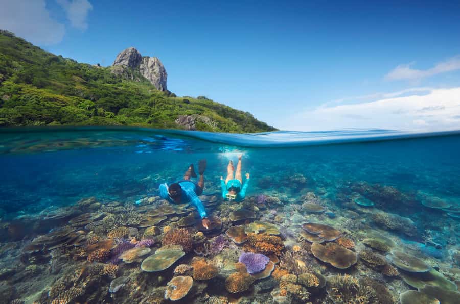 Fiji: Kuata Island Marine Conservation Experience Full Day - Key points to know before booking