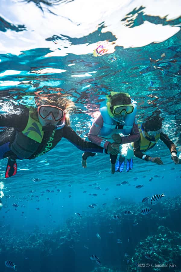 Fiji: Kuata Island Marine Conservation Experience Full Day - A buffet lunch with island views