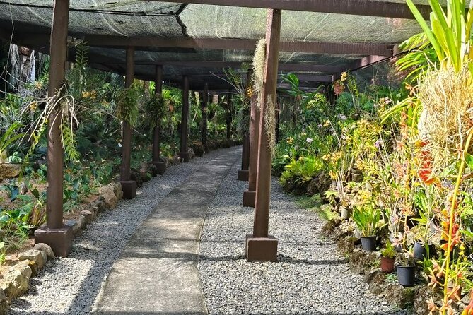 Fiji Lautoka Shore Excursions Tour - Weather, cancellation, and practical planning