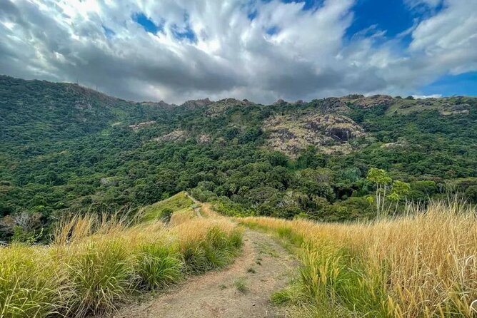 Fiji Lautoka Shore Excursions Tour - Orchids and open paths at the Garden of the Sleeping Giant