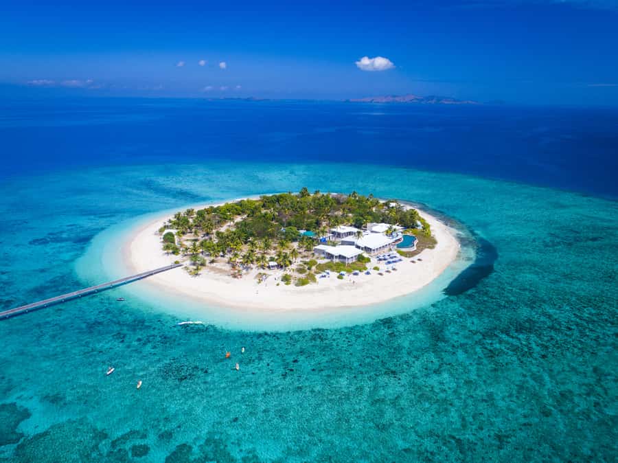 Fiji: Malamala Beach Club Half-Day Trip - Five hours of beach club freedom