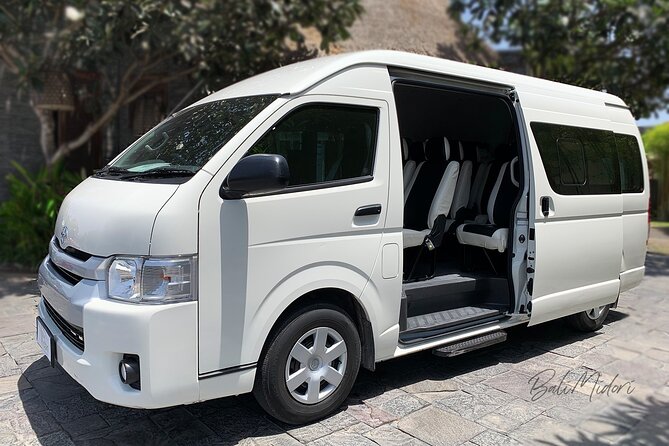 Fiji Marriott Resort Momi Bay To Nadi Airport or Denarau (Departure Transfer) - Private transport for one suitcase or a full family load