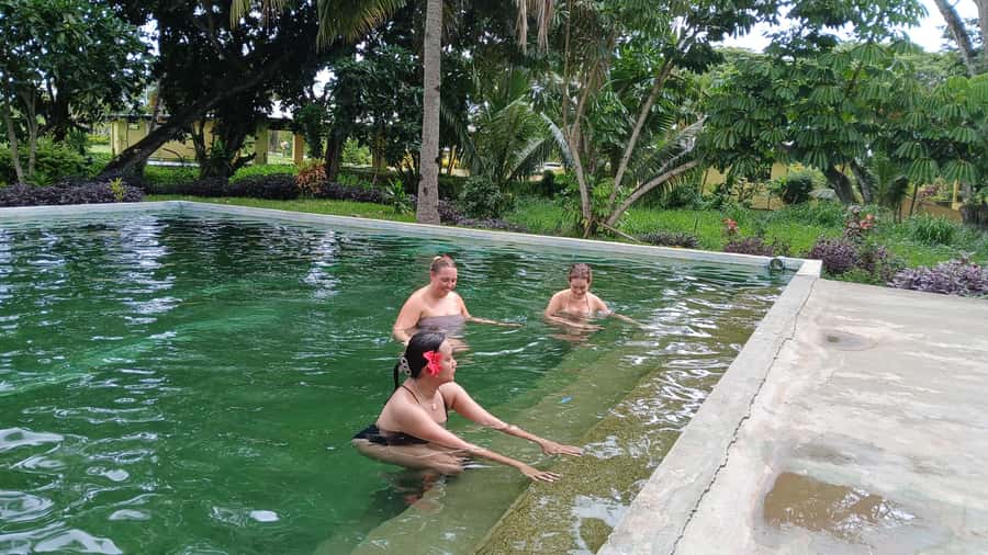 FIJI-NADI: Sabeto Tifajek Hot Spring and Mudpool Tour - Optional massage and foot soak with local women