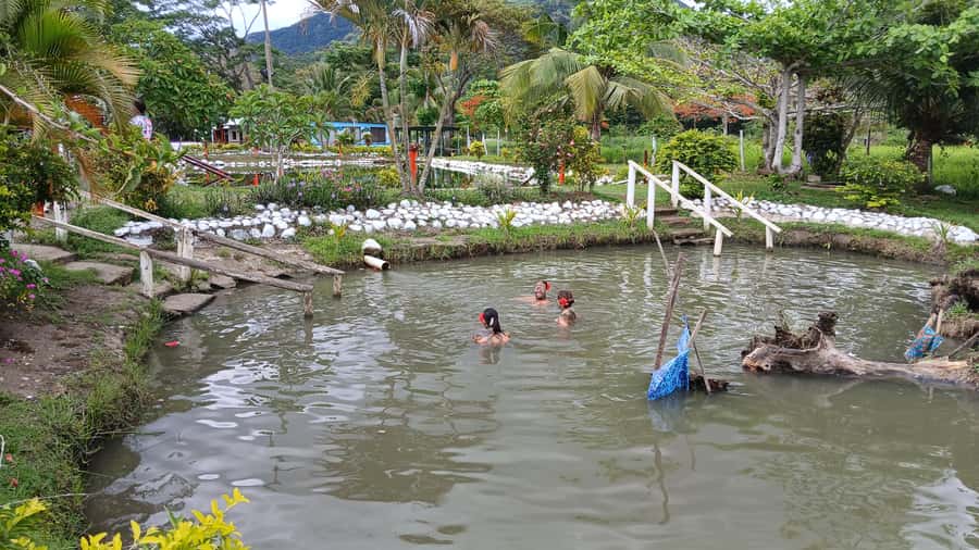 FIJI-NADI: Sabeto Tifajek Hot Spring and Mudpool Tour - The guides can shape the whole experience