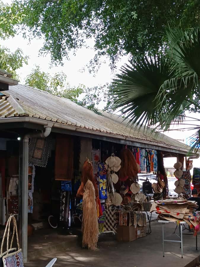 Fiji: Nadi Tour with Tifajek Mudpool and Hotspring Visit - Transport, timing, and the reality of Fiji time