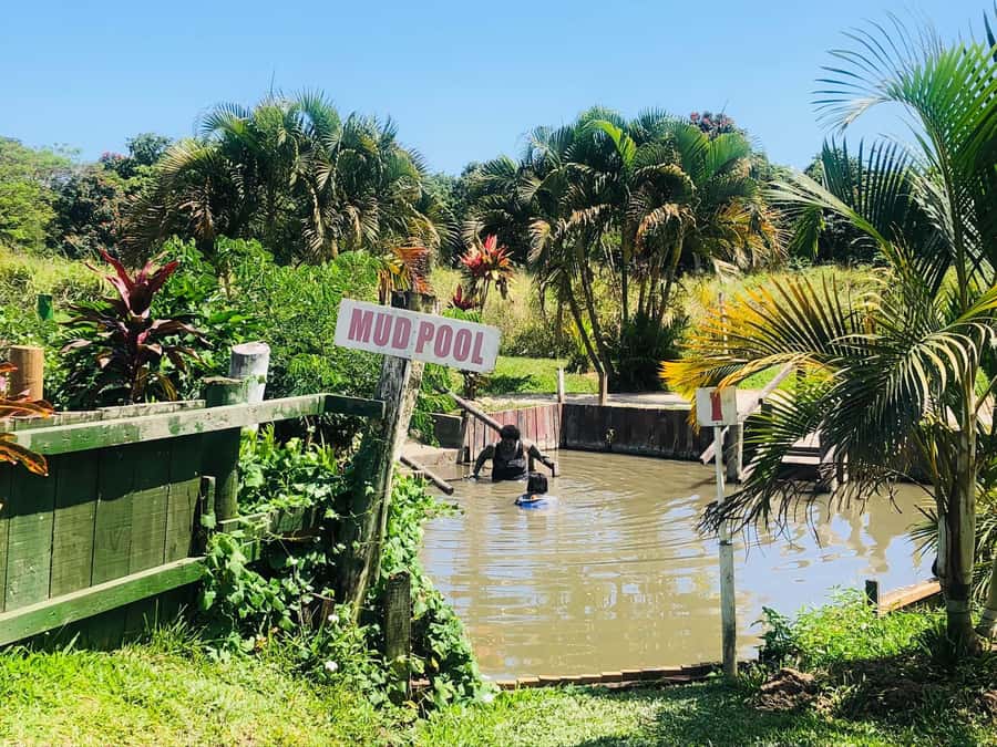 FIJI: Sabeto Hotspring & Mudpool Tours, Tickets & Transfers - Arriving at the correct Sabeto attraction