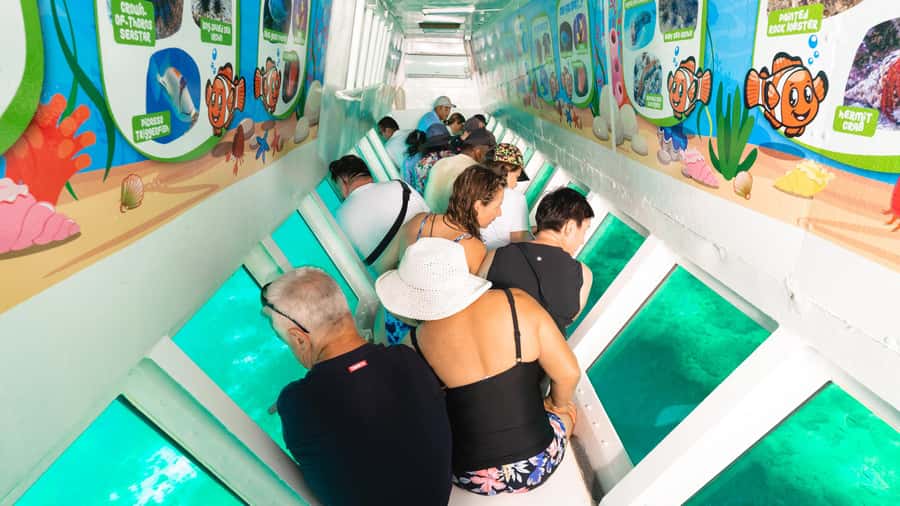 Fiji: South Sea Island Finding Nemo ex Port Denarau - What to bring and how to avoid common problems