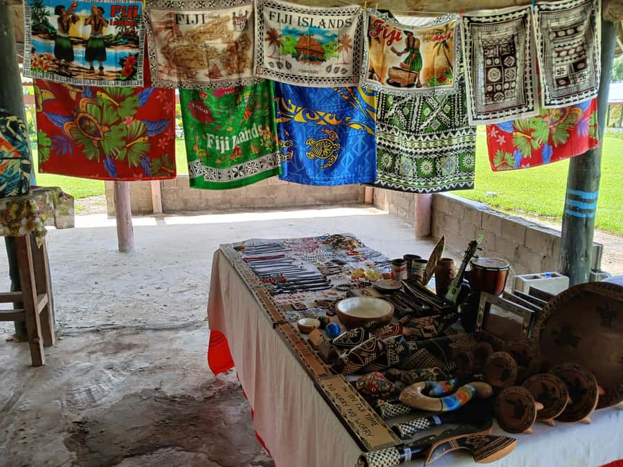 Fiji: Tifajek Mud Pool & Hotspring Tours & Tickets - Should you book the Tifajek Mud Pool and Hotspring Tour?