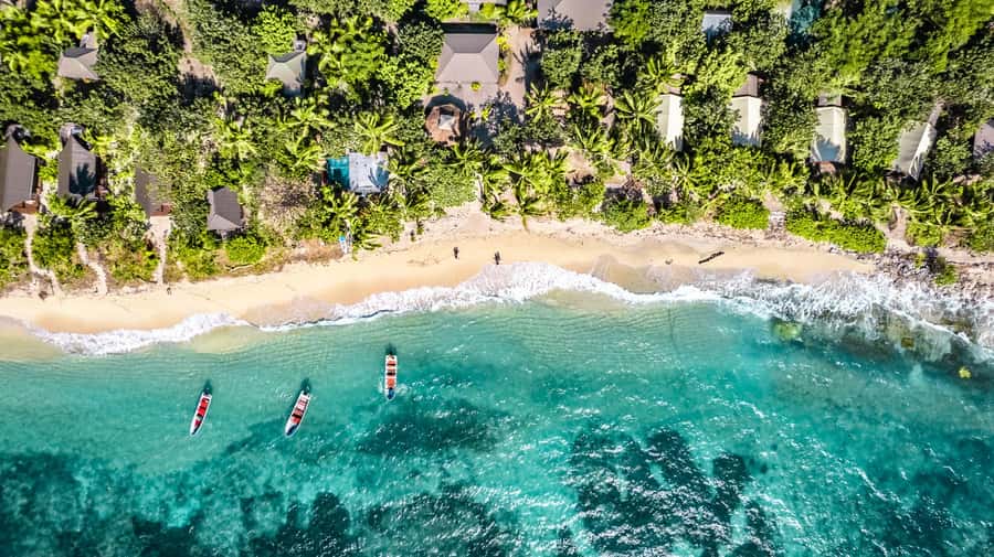 Fiji: Ultimate Encounters Snorkel with Sharks and Lunch - Key points to know before booking