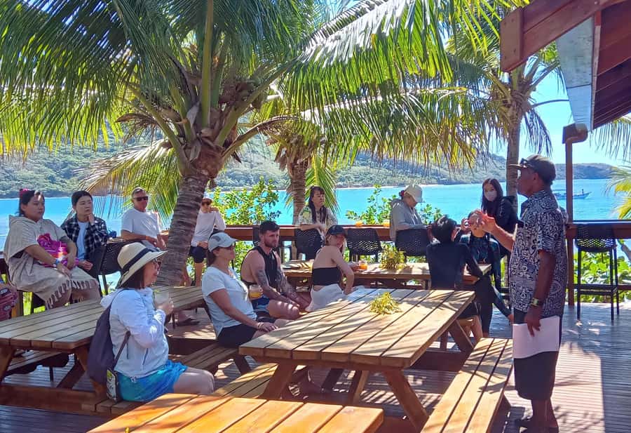 Fiji: Ultimate Encounters Snorkel with Sharks and Lunch - What the white tip and black tip reef sharks are like