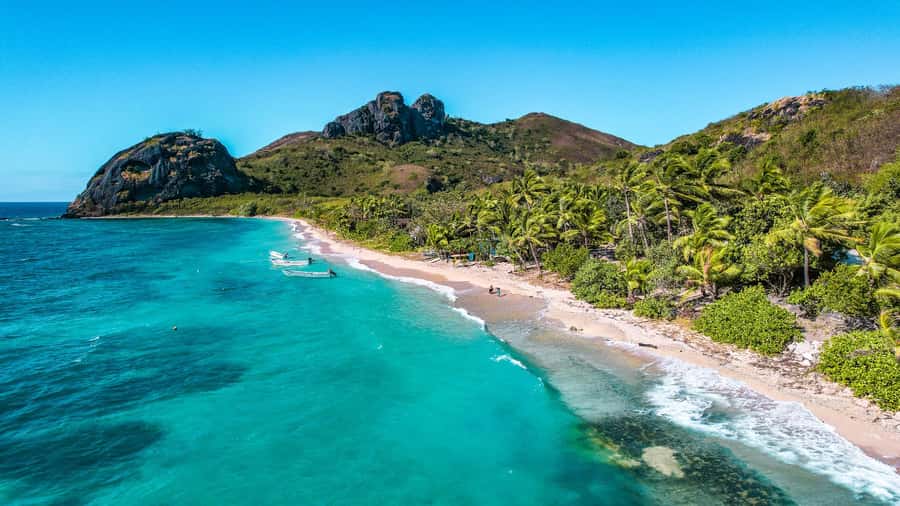 Fiji: Ultimate Encounters Snorkel with Sharks and Lunch - The reef beyond the sharks