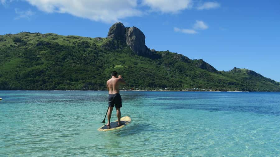 Fiji: Ultimate Encounters Snorkel with Sharks and Lunch - Who will enjoy this day most