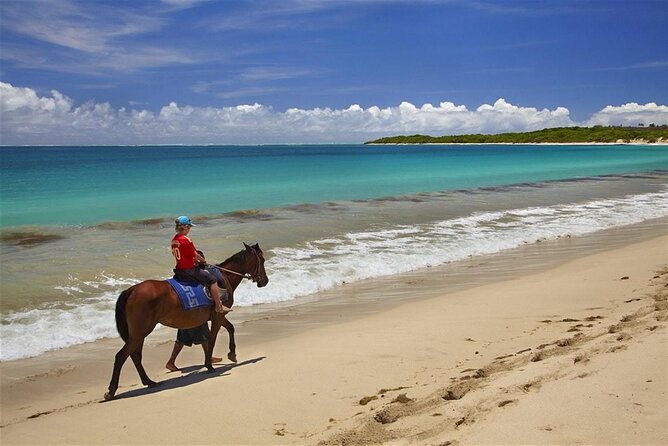 Fijian pottery crafting Village Experience & Natadola Beach Tour - Sigatoka adds a short town stop