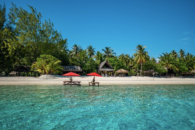 French Polynesia Snorkeling and 4X4 Adventure Tour with Buffet - Bora Bora in one long, active day