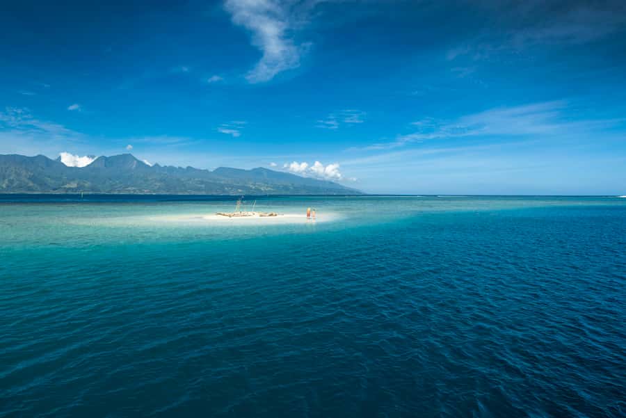 From Papeete: Tahiti Highlights Full-Day Private Tour - Vaipahi Water Gardens slow the pace