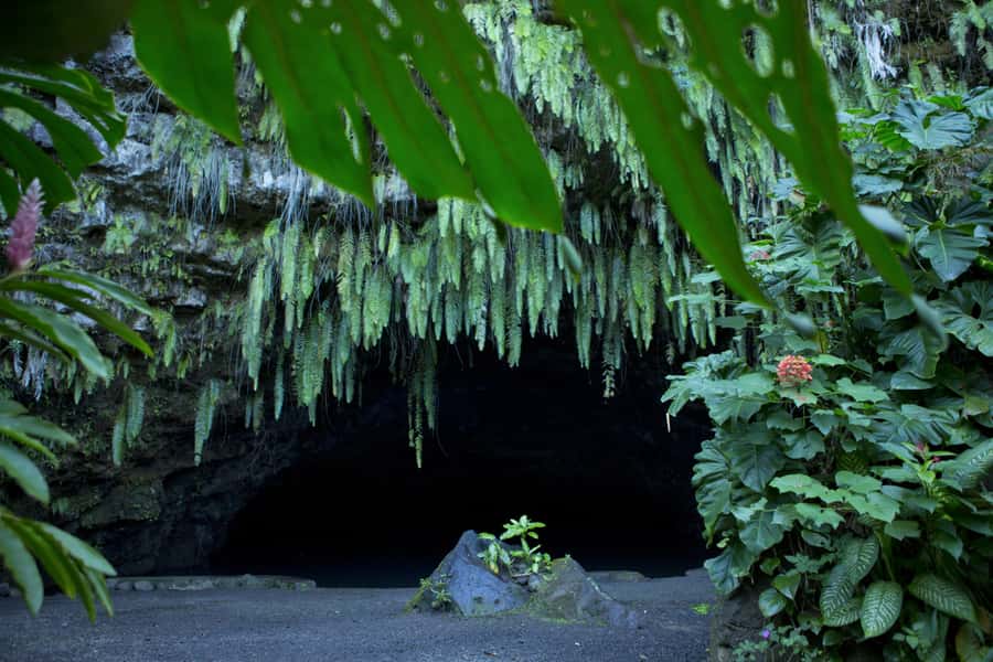 From Papeete: Tahiti Highlights Full-Day Private Tour - Taravao Lookout opens the island wide