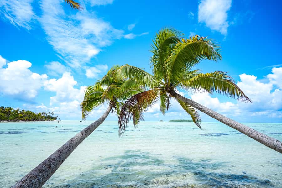From Tahiti: Tetiaroa Island Tour by Sailing Catamaran - Why Tetiaroa makes a special day trip from Tahiti