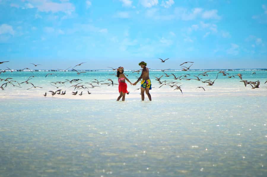 From Tahiti: Tetiaroa Island Tour by Sailing Catamaran - Who will enjoy this Tetiaroa tour most