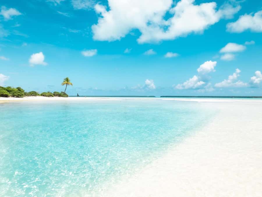 From Tahiti: Tetiaroa Island Tour by Sailing Catamaran - Free time for swimming, photographs, and rest