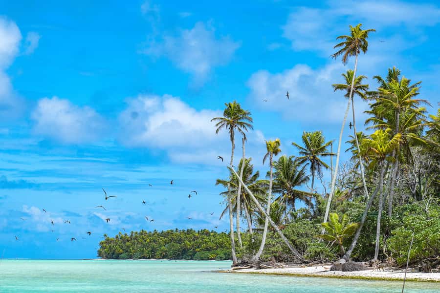 From Tahiti: Tetiaroa Island Tour by Sailing Catamaran - The 2.5-hour catamaran crossing