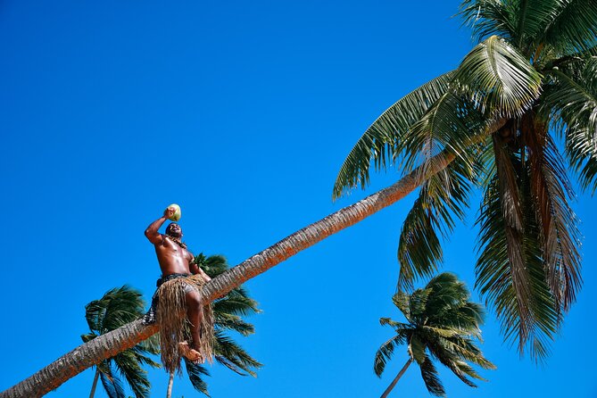 Full Day Cultural Island Tour with Lunch & Cruise - From the jetty to a Robinson Crusoe island